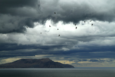 Similar image 21353310