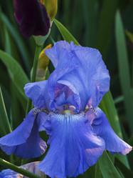 Similar image 21353655