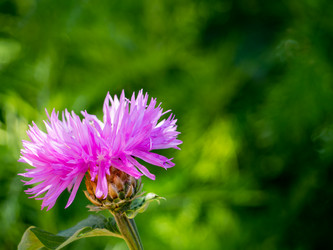 Similar image 21353656