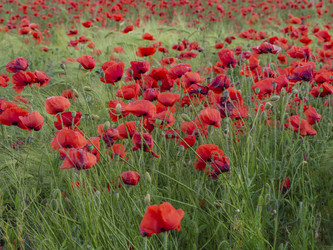 Similar image 21353657