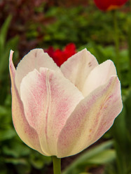 Similar image 21353662