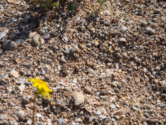 Similar image 21353663