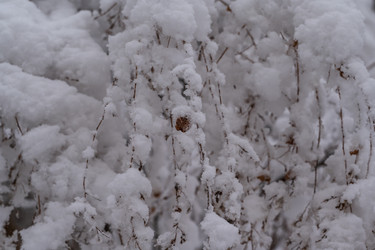 Similar image 21353827