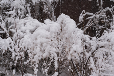 Similar image 21353828