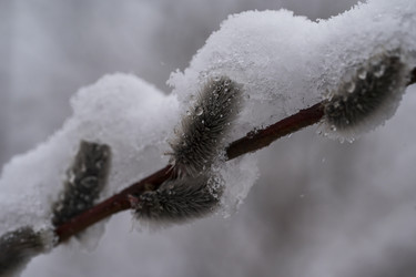 Similar image 21353830