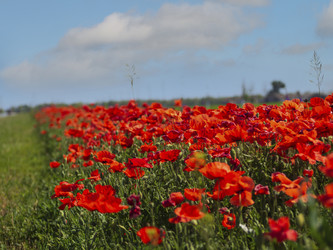 Similar image 21353665