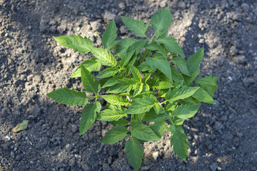 Similar image 21353666