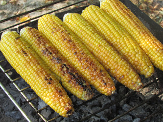 Similar image 21353833