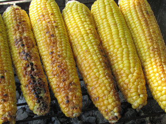 Similar image 21353834