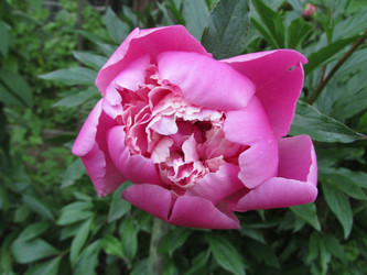 Similar image 21353836