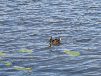 Similar image 21353839