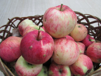 Similar image 21353841