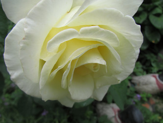 Similar image 21353842