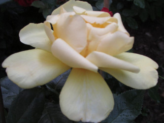 Similar image 21353843