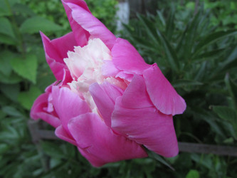 Similar image 21353844