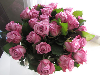 Similar image 21353845