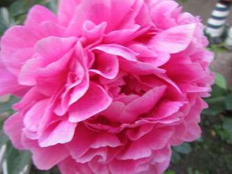 Similar image 21353846