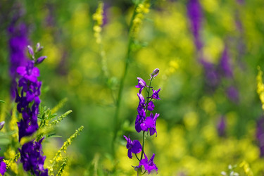 Similar image 21353667