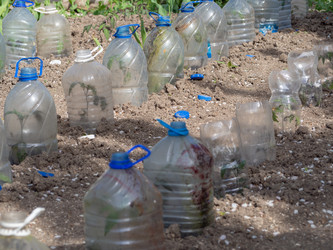 Similar image 21353670