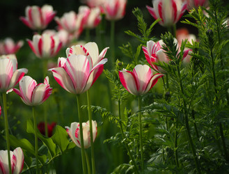 Similar image 21353671