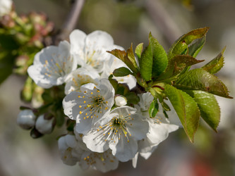 Similar image 21353674