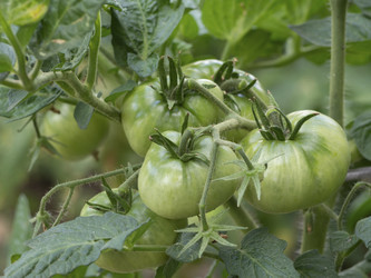 Similar image 21353682