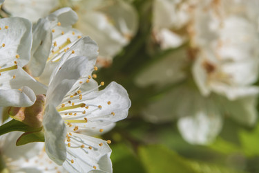 Similar image 21353684