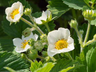 Similar image 21353686