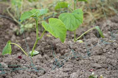 Similar image 21353687