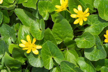 Similar image 21353690