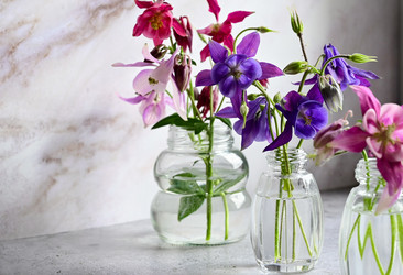 Similar image 21357545