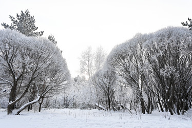 Similar image 21357564