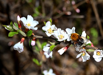 Similar image 21357588