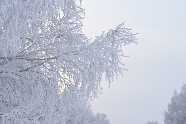 Similar image 21357762