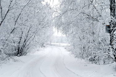 Similar image 21358088