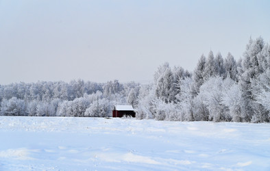 Similar image 21358090