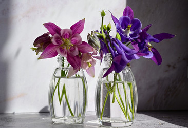 Similar image 21358286