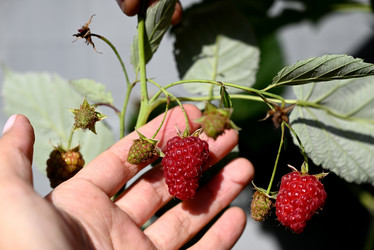 Similar image 21358287