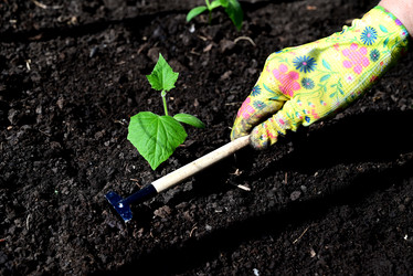 Similar image 21358445