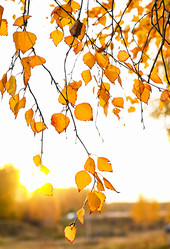 Similar image 21358665