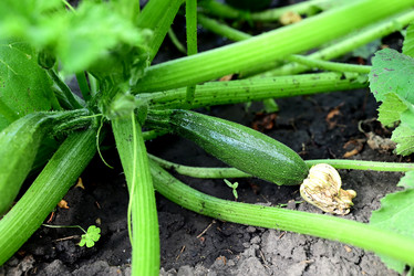 Similar image 21358674