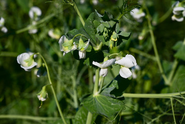 Similar image 21356986