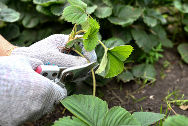 Similar image 21357333