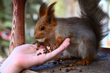 Similar image 21357335