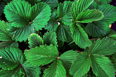 Similar image 21357346