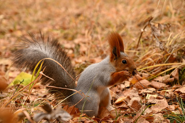 Similar image 21357349