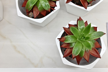 Similar image 21357356