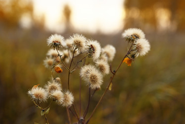 Similar image 21357358