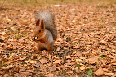 Similar image 21357361