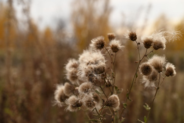 Similar image 21357363